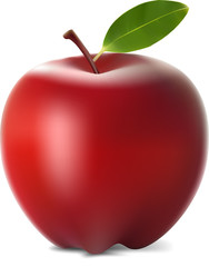 red apple fruits with cut and green leaves