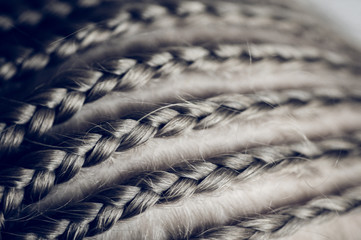 African braids on the head close-up