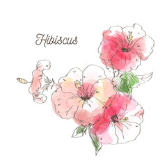 Luxury hibiscus flower on white background - obrazy, fototapety, plakaty