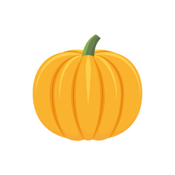  icon of ripe pumpkin