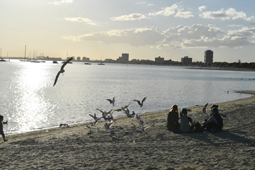 MELBOURNE, AUSTRALIA - AUGUST 14, 2017 - People relaxing on st. Kilda the beach
