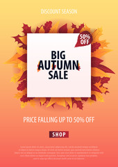 Autumn Background with leaves for shopping sale or promo poster and frame leaflet or web banner. Vector illustration template.