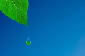environment concept waterdrop falling from leaf sky background