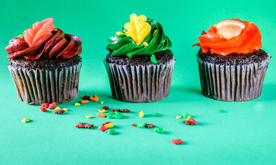 Isolated Chocolate Cupcake with Green Background