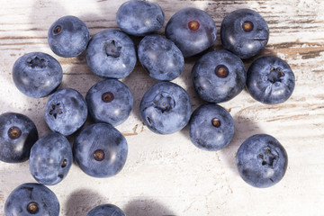 Fruits of northern highbush blueberry (Vaccinium corymbosum), close up