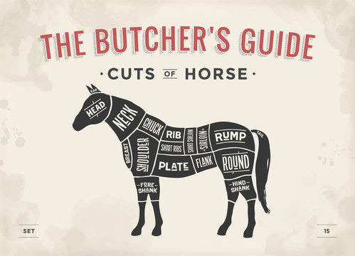 Cut of meat set. Poster Butcher diagram, scheme - Horse. Vintage typographic hand-drawn horse silhouette for butcher shop, restaurant menu, graphic design. Meat theme. Vector Illustration