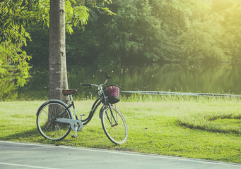 Fototapeta premium Black bicycle in park