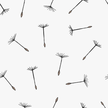 Simple seamless pattern with flying dandelion seeds or achenes on pappuses drawn on white background