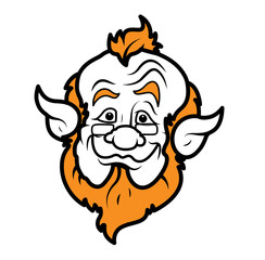 Happy Old Leprechaun Face