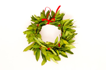 Corona alloro laurea