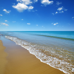 beach and sea