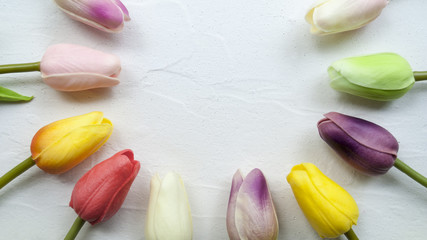 Colorful tulips on light background