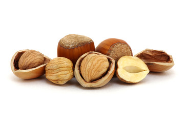 Hazelnut isolated on white