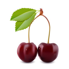 Ripe red cherry berries with leaves. Vector.