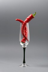 red hot pepper on a gray background.