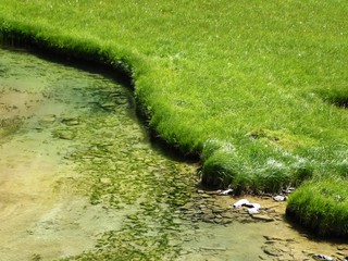 un ruisseau en montagne