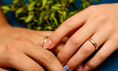 Photo of hands with beautiful wedding rings and green leaves on blue background