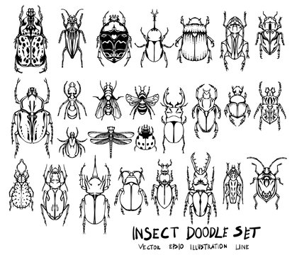 Set Of Insect Doodle Illustration Hand Drawn Sketch Line Vector Eps10