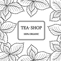 Mint liner, tea shop