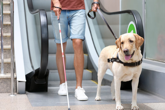 Blind man with guide dog near escalator