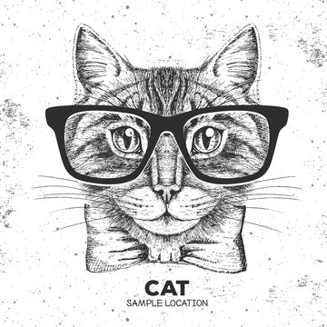 Hipster animal cat. Hand drawing Muzzle of animal cat