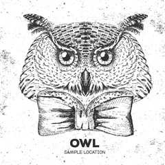 Hipster bird owl. Hand drawing Muzzle of bird owl