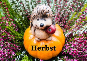 Herbst Schrift Igel