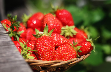 fresh strawberry outdoor