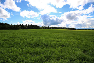 lanscape meadow sky cloud