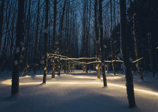 Winterlicht