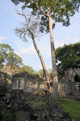Fototapeta na wymiar zerfallener Tempel Preah Khan
