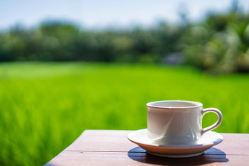 coffee cup on wooden table with green background