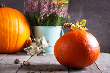 Autumn scene with pumpkin, heather, oak acorn and leaves.