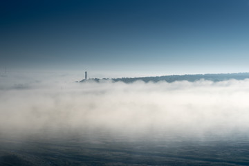thick morning fog on the summer field. the dense forest on the horizon. Morning landscape in summer thick fog