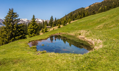 Mountain landscape. Ridanna Valley, South Tyrol, Trentino Alto Adige, Italy