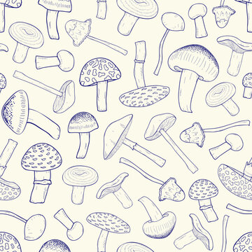 Beautiful monochrome seamless pattern with outlines of inedible forest mushrooms. Toxic and poisonous fungus of different types hand drawn with contour lines on light background. Vector illustration.