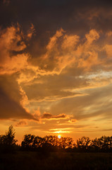 Fluffy clouds at sunset