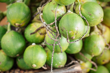 betel nut for people.