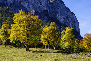 Grosser Ahornboden, Tirol, Austria