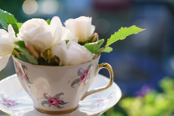 white roses in the cup