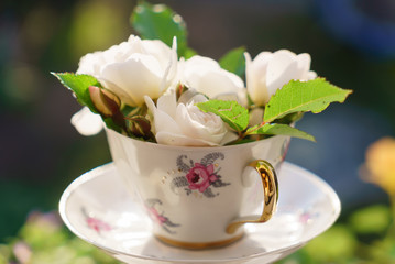 white roses in the cup