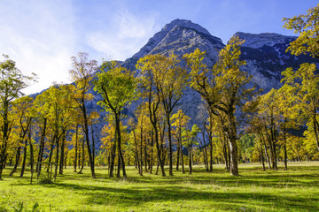 Fototapeta premium Grosser Ahornboden, Tirol, Austria