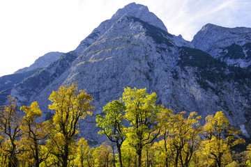 Obraz premium Grosser Ahornboden, Tirol, Austria