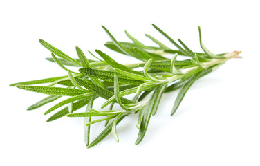 Rosemary leaves