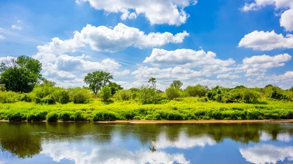 Papier Peint photo autocollant Rivière Paysage d& 39 été avec rivière et arbres