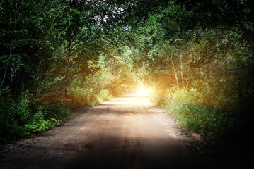 Fototapeta na wymiar Sunrise beautiful road in forest