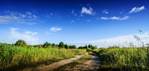Rural road in field