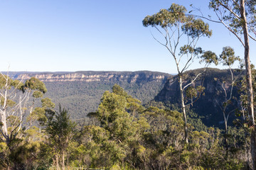 View of the Blue Mountains, New South Wales, Australia