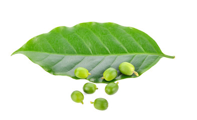 Coffee beans and coffee leaves on a white background