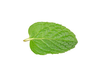 Fresh raw mint leaf isolated on white background